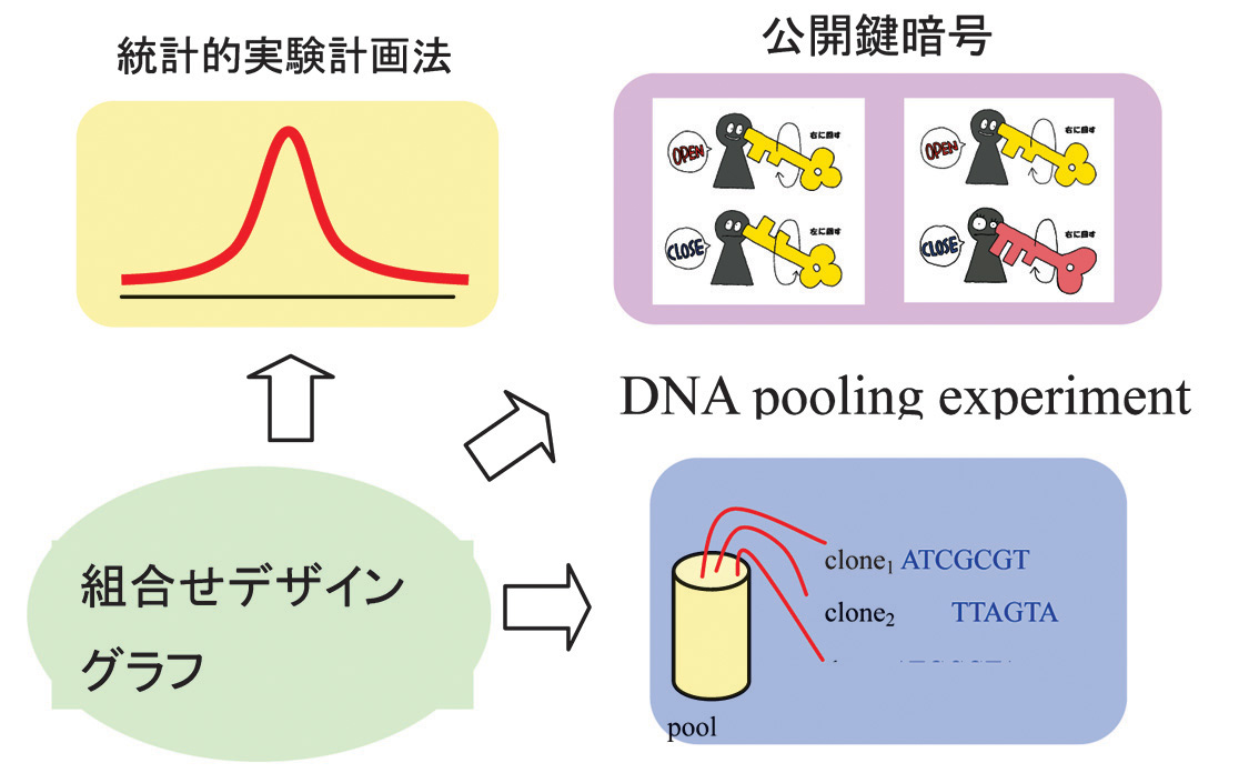 組合せ論から応用へ