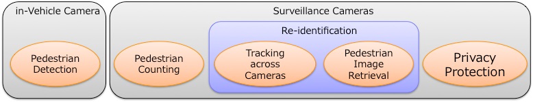 Pedestrian Detection / Tracking / Identification Pedestrian Detection / Tracking / Identification