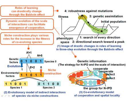 Figure : Models and image of evolutionary dynamics