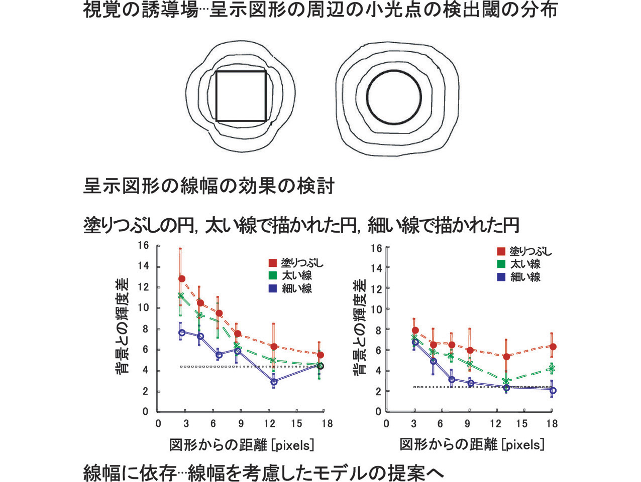 視覚の誘導場(線幅の効果) 視覚の誘導場(線幅の効果)