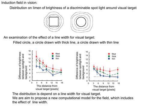 Figure : Induction field in vision (effect of line width) Figure : Induction field in vision (effect of line width)