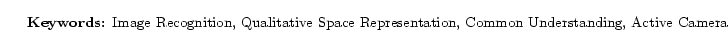 $\textstyle \parbox{170mm}{
\begin{center}
{\bf Keywords:} \parbox[t]{140mm}{
I...
...ative Space Representation,
Common Understanding, Active Camera
}
\end{center}}$
