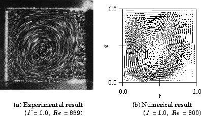 \begin{figure}
\epsfile{file=material/1cell/1-nc-02.eps,scale=1.0}
\end{figure}