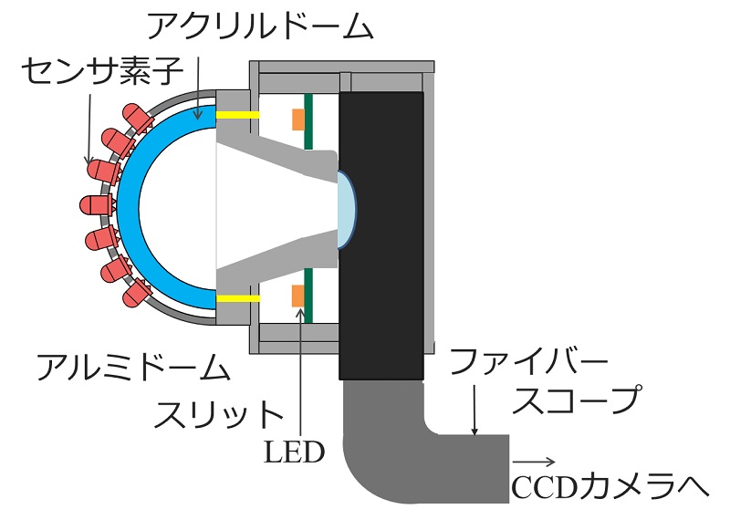 図1 光導波形三軸触覚センサの構造